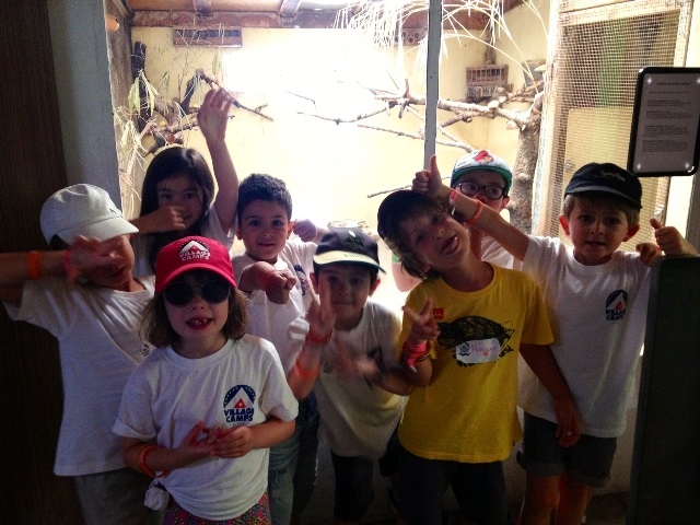 Village Camps International Summer Camp VDC Geneva 2016-08-12 https://www.villagecamps.com/journals_admin/images/801-34-photo (5).jpg